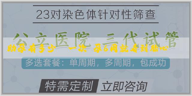 助孕有多少錢一次 孕6周就看到胎心胎芽能否説明胚胎質量好？怎麼查胚胎質量好不好？